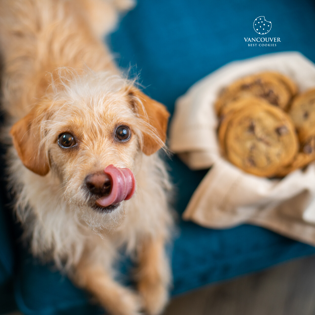 Vancouver Best Cookies- The Love Pack