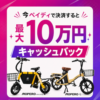 特定小型原付 電動キックボードZERO9 Lite – SWALLOW公式ストア