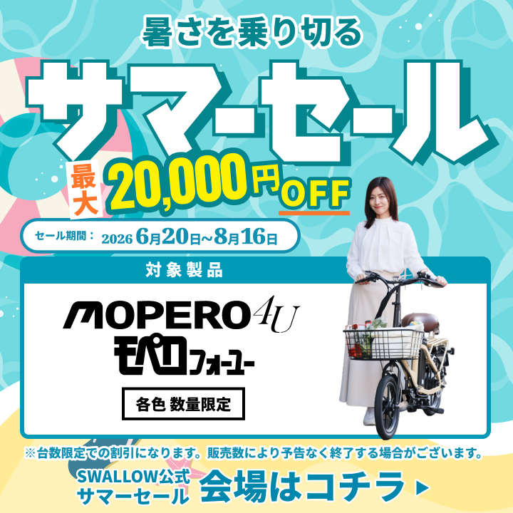 ZERO10X用ブレーキパッド (一輪分) – SWALLOW公式ストア