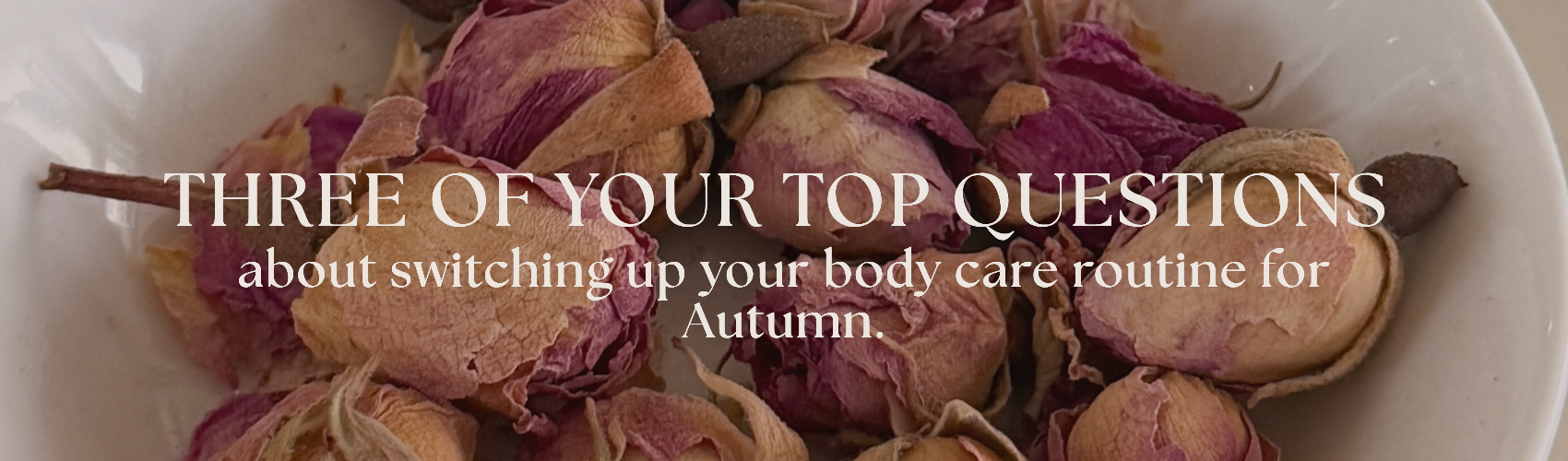 Three of your Top Questions Answered